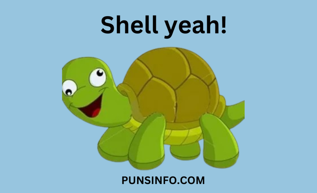 Turtle puns are a shellebration of humor that's sure to make waves. Whether you're aiming to impress your friends at your next hangout or simply need a light-hearted laugh to brighten your day, turtle jokes are the perfect pick.