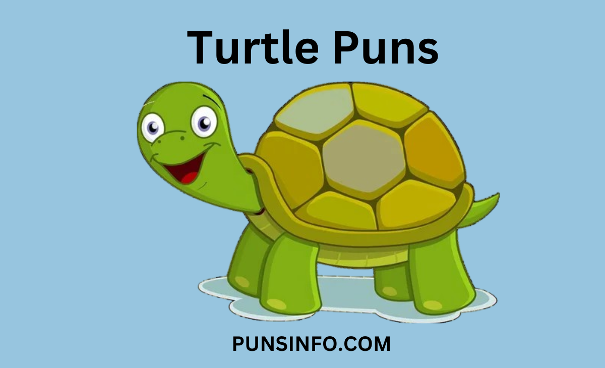 150+ Turtle Puns and Jokes That Are Shell-arious