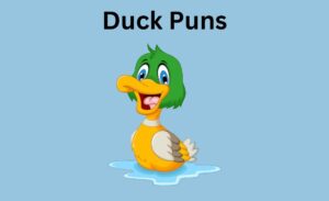 290 Duck Puns That Will Quack You Up