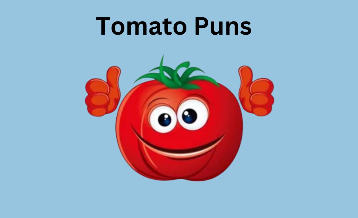 300 Hilarious Tomato Puns to Ketchup on the Fun!