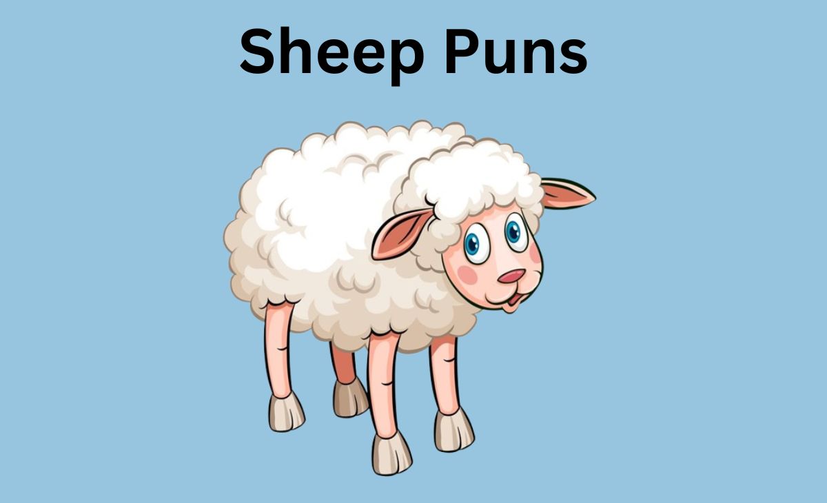 330 Hilarious Sheep Puns to Make Ewe Laugh