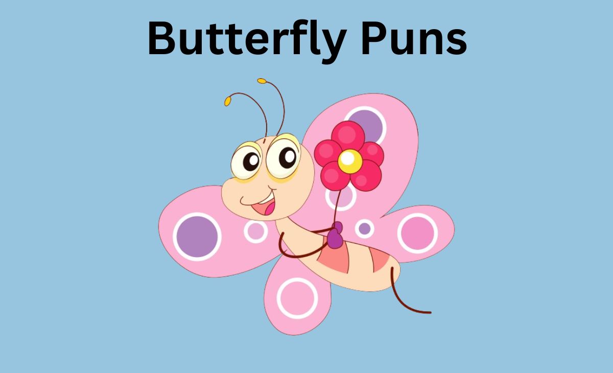 360 Butterfly Puns That Will Make Your Heart Flutter