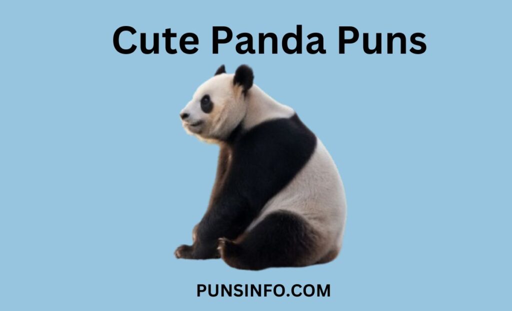 120 Hilarious Panda Puns and Jokes to Brighten Your Day