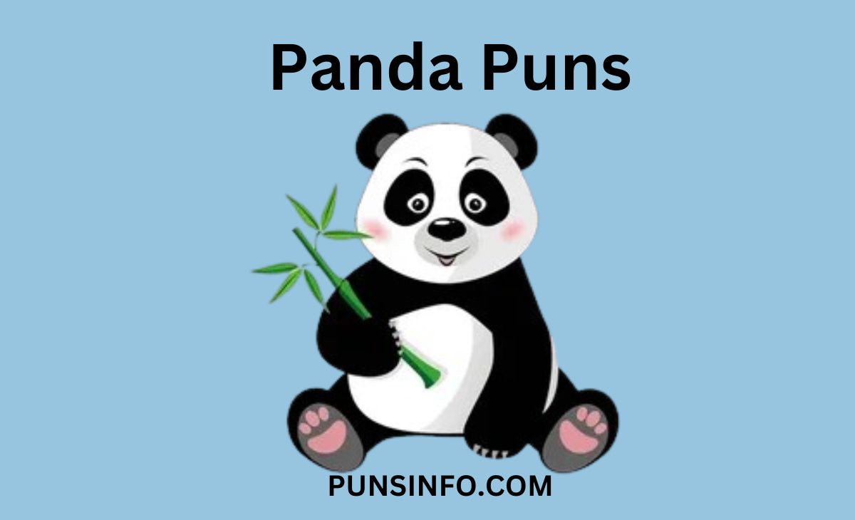 120 Hilarious Panda Puns and Jokes to Brighten Your Day