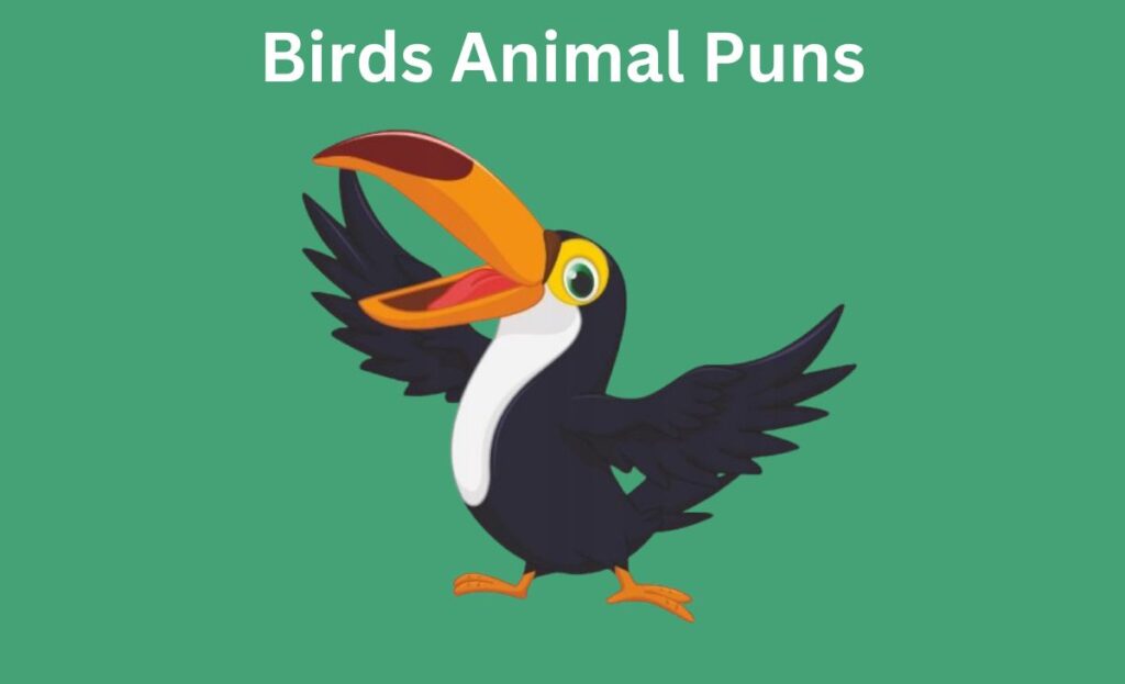 Birds Animal Puns