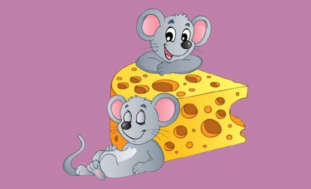 Cheese-Related Mouse Puns