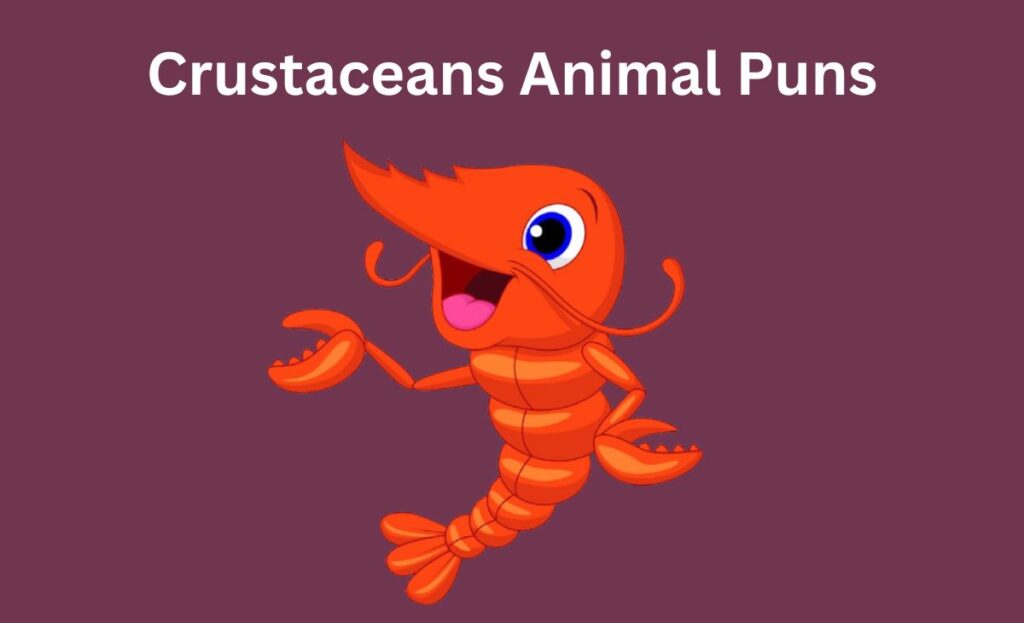 Crustaceans Animal Puns