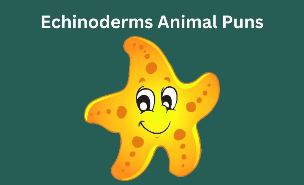 Echinoderms Animal Puns