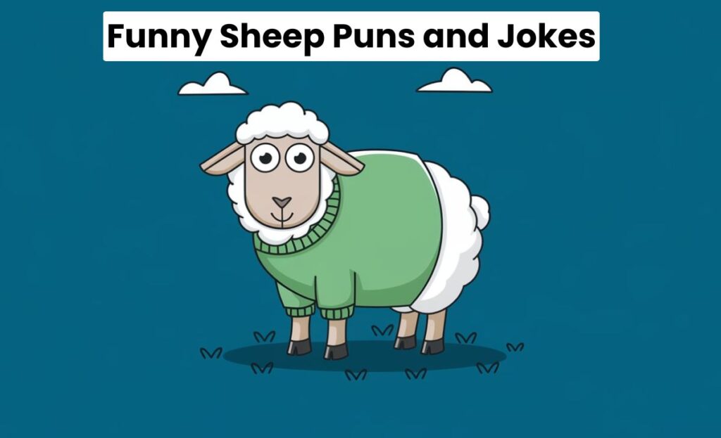 Funny Sheep Puns and Jokes