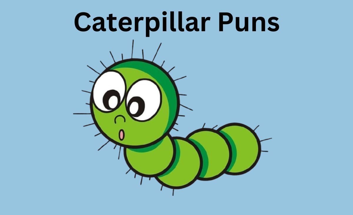 210 Hilarious Caterpillar Puns to Make You Smile