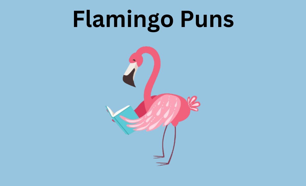 330 Flamingo Puns That Will Make You Stand Tall